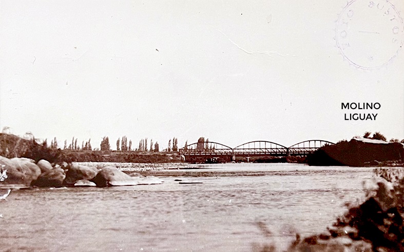 molino liguay longavi